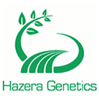 Hazera